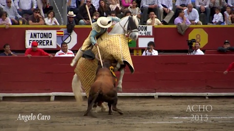 acho-2013-ferrera-perera-talavante