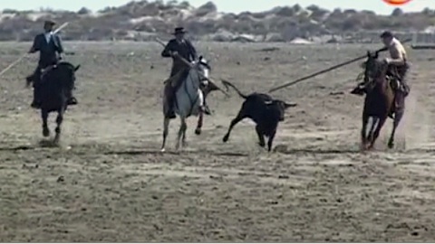 acoso-et-festival-aux-saintes