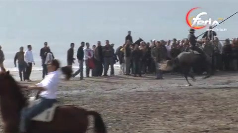 acoso-y-derribo-des-saintes-maries