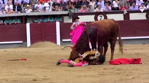 cogida-y-pundonor-de-adame-en-madrid