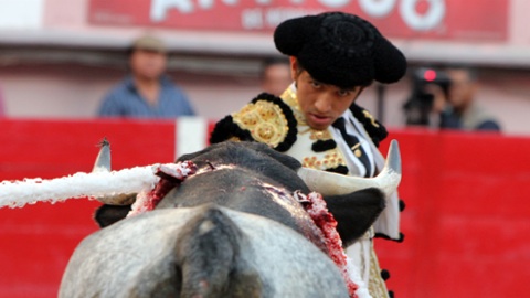 aguascalientes-oreille-pour-j-adame