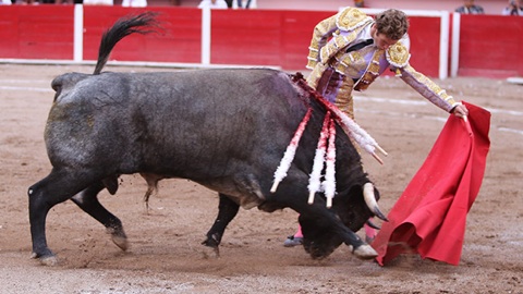 aguascalientes-oreille-pour-el-payo