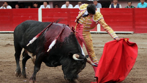 oreille-pour-talavante-et-jp-sanchez