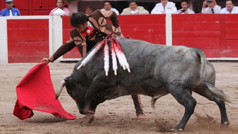 adame-gagne-le-prix-de-la-ponciana