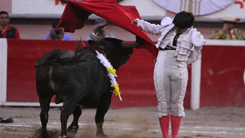 aguascalientes-oreja-de-oro