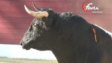 les-prieto-touchent-le-fond-de-la-cal