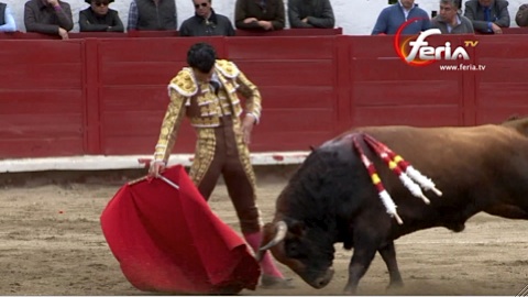 ambato-alban-morenito-de-aranda-luque