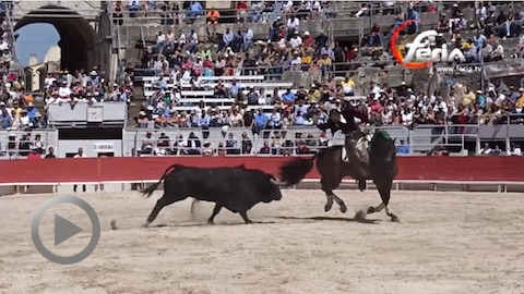 arles-diego-ventura-imperial