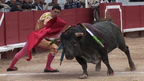 triomphe-de-roman-perez