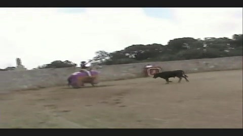 jour-de-tienta-chez-arroyo-zarco