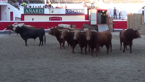 debarquement-pedraza-de-yeltes