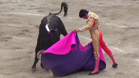 oreille-pour-paulita-et-castano