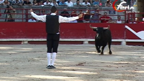 les-recortadores-relevent-la-course