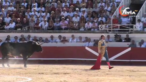 maestros-sin-toros