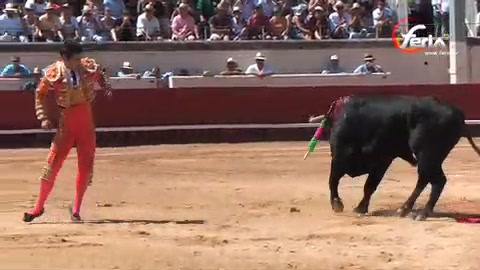 beziers-novillada-de-meynadier