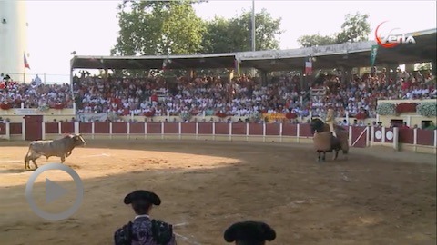 parentis-novillada-de-prieto-de-la-cal