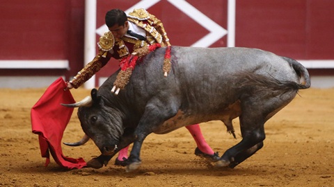 trois-oreilles-et-cornada-pour-adame