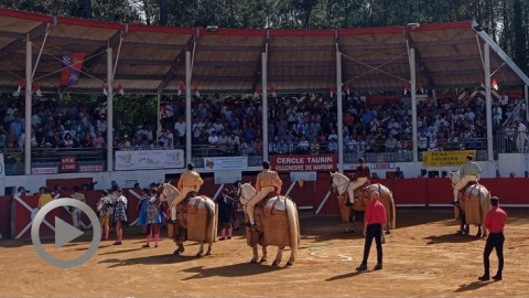 Captieux. Clovis et Osornio coupent une oreille