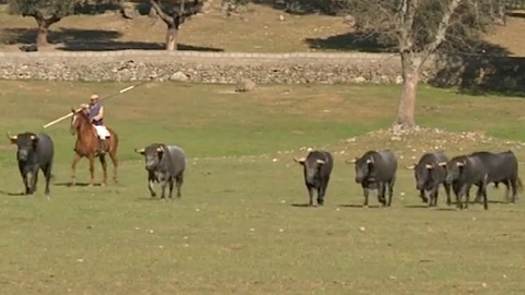 campo-les-escolar-gil-pour-dax