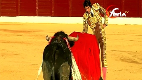 castella-indulte-jarreon-de-buenavista