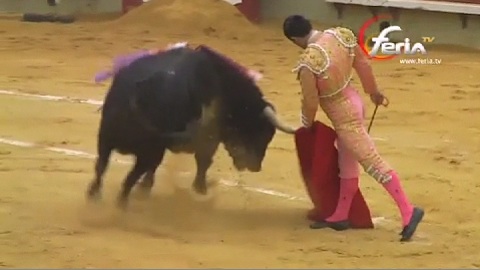 castellon-bonne-corrida-de-fuente-ymbro