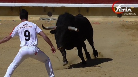 spectaculaire-concours-de-quiebros