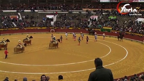 oreille-pour-padilla-el-cid-et-luque