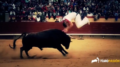 festejos-populares-castellon-2014