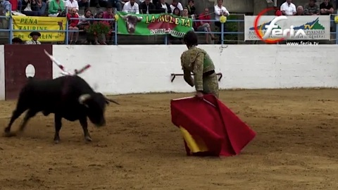 novillada-concours-de-castelnau-