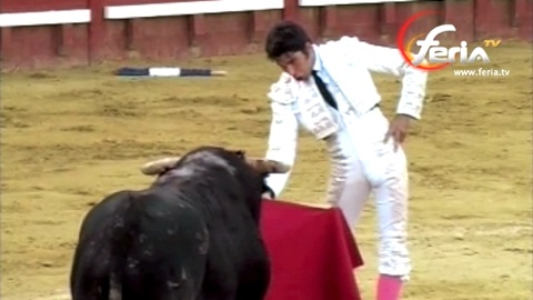 voltereta-et-oreille-pour-cayetano