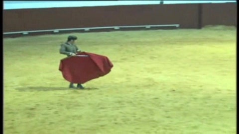 exhibition--feria-mondiale-du-toro-2008