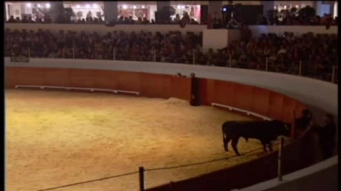 groupe-de-forcados-de-santarem