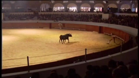 recortadores-de-la-region-de-valence