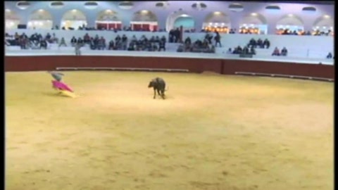 tentadero-de-hembras