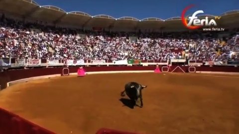 corrida-concours-de-vic