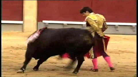 puerta-grande-de-perera