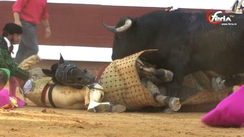 tito-sandoval-fait-chavirer-dax