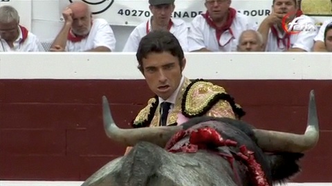 dax-corrida-escolar-gil