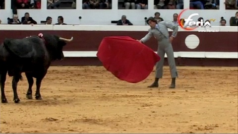 dax-festival-du-centenaire-des-arenes
