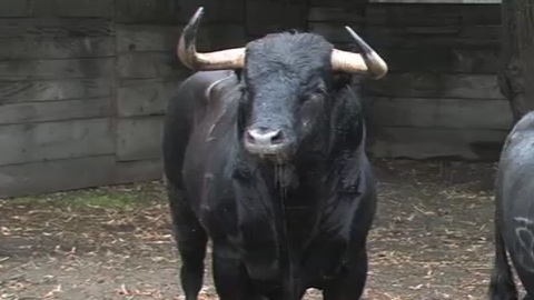 debarquement-des-dolores-aguirre