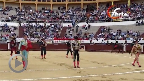 bogota-oreille-pour-fernando-robleno-et-juan-de-castilla