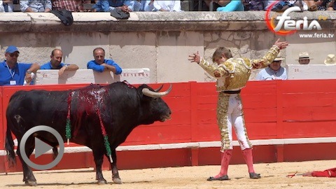 nimes-oreille-pour-ponce-et-javier-jimenez