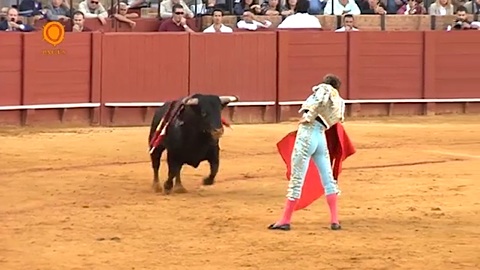 encerronita-de-lama-de-gongora