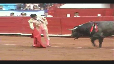 le-palco-refuse-le-triomphe-au-fandi