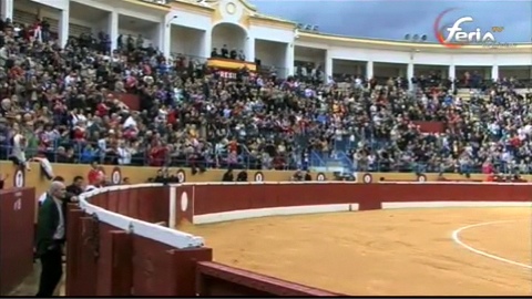 festival-de-bienfaisance-a-marbella