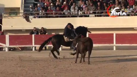 grand-festival-aux-saintes-maries