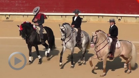 castellon-oreille-pour-diego-ventura-et-lea-vicens