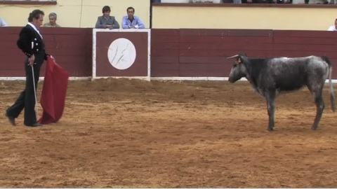 remise-des-prix-et-tienta-a-orthez