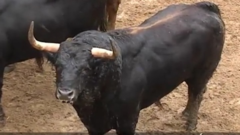 les-fuente-ymbro-pour-seville