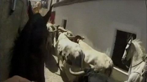 fiestas-de-fuenteguinaldo